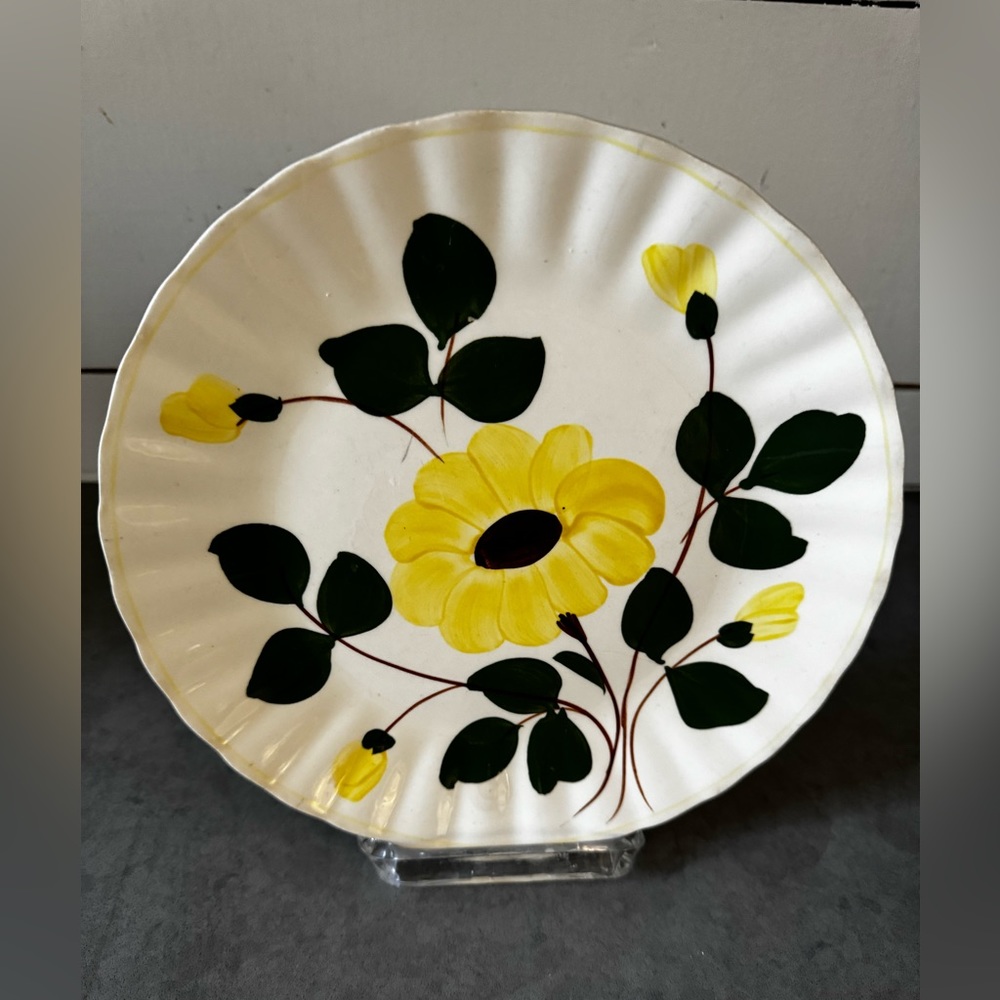 Vintage Blue Ridge Pottery “Yellow Nocturne” 9 in plate